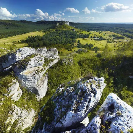 Pod Lipówkami Dom wakacyjny *