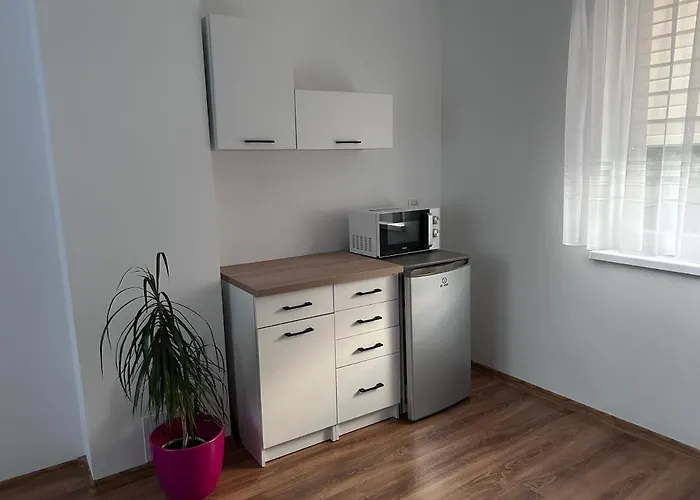 Pod Lipowkami Дом отдыха Ольштын